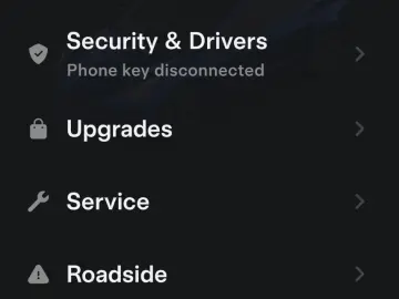 Tesla Model 3 Langstreckenbatterie Allradantrieb Dual Motor