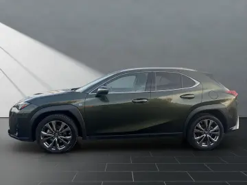 LEXUS UX 250h F-SPORT-D. 1HD ALLW  15J-GARANTIE