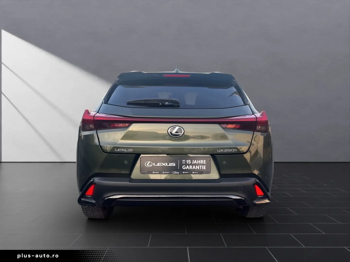 LEXUS UX 250h F-SPORT-D. 1HD ALLW  15J-GARANTIE