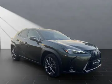 LEXUS UX 250h F-SPORT-D. 1HD ALLW  15J-GARANTIE