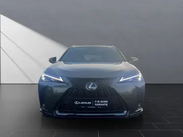 LEXUS UX 250h F-SPORT-D. 1HD ALLW  15J-GARANTIE