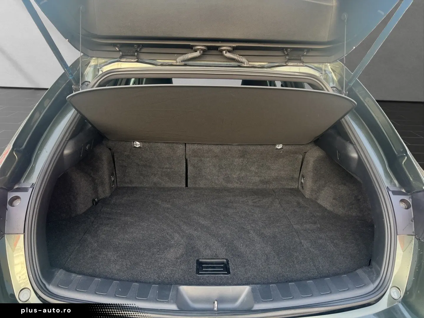 LEXUS UX 250h F-SPORT-D. 1HD ALLW  15J-GARANTIE