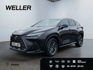 LEXUS NX 350h Executive Line  Bi-LED ACC 360  el Heck