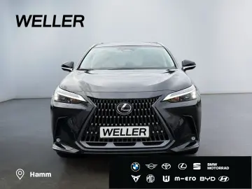 LEXUS NX 350h Executive Line  Bi-LED ACC 360  el Heck