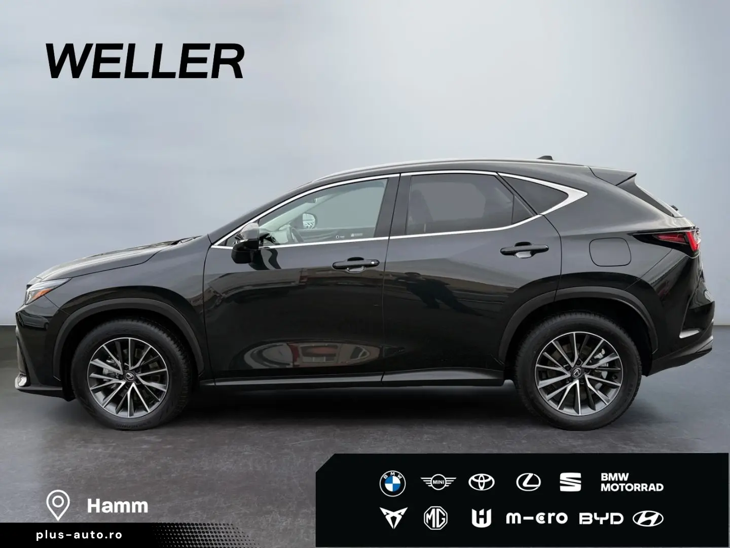 LEXUS NX 350h Executive Line  Bi-LED ACC 360  el Heck