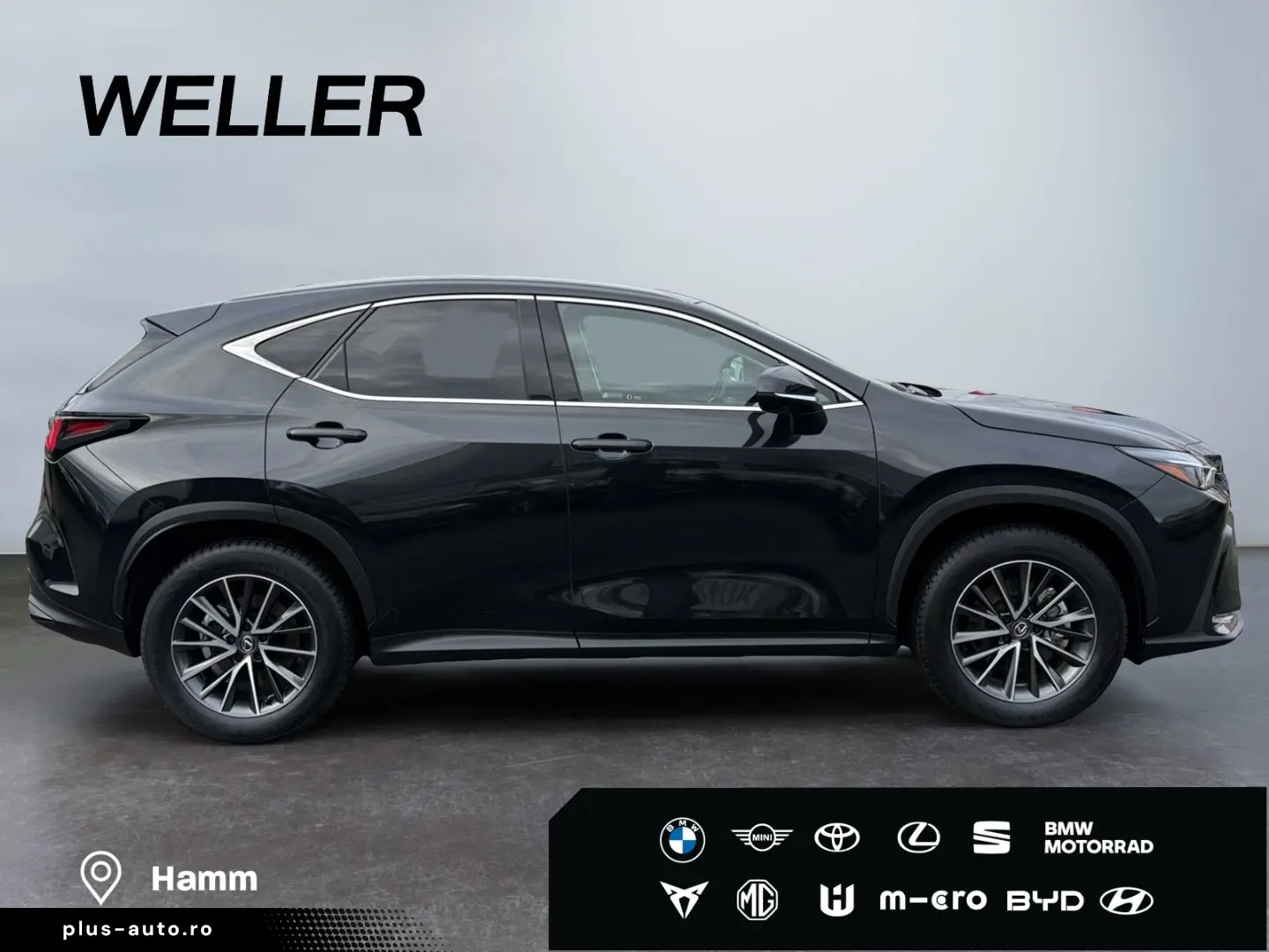 LEXUS NX 350h Executive Line  Bi-LED ACC 360  el Heck