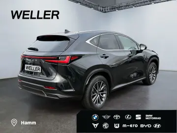 LEXUS NX 350h Executive Line  Bi-LED ACC 360  el Heck