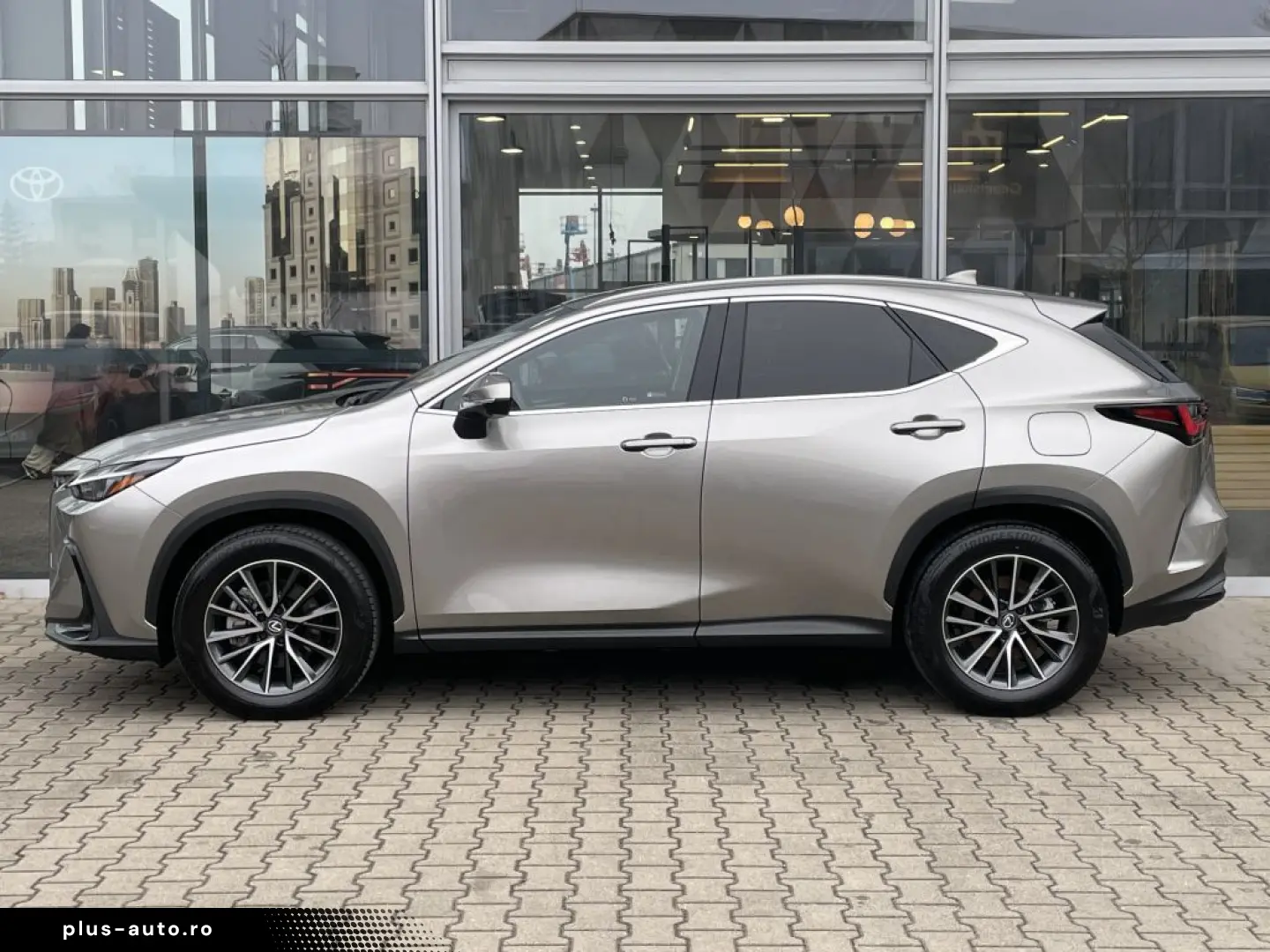 LEXUS NX 350h Executive Line inkl. WR 360  Kamera