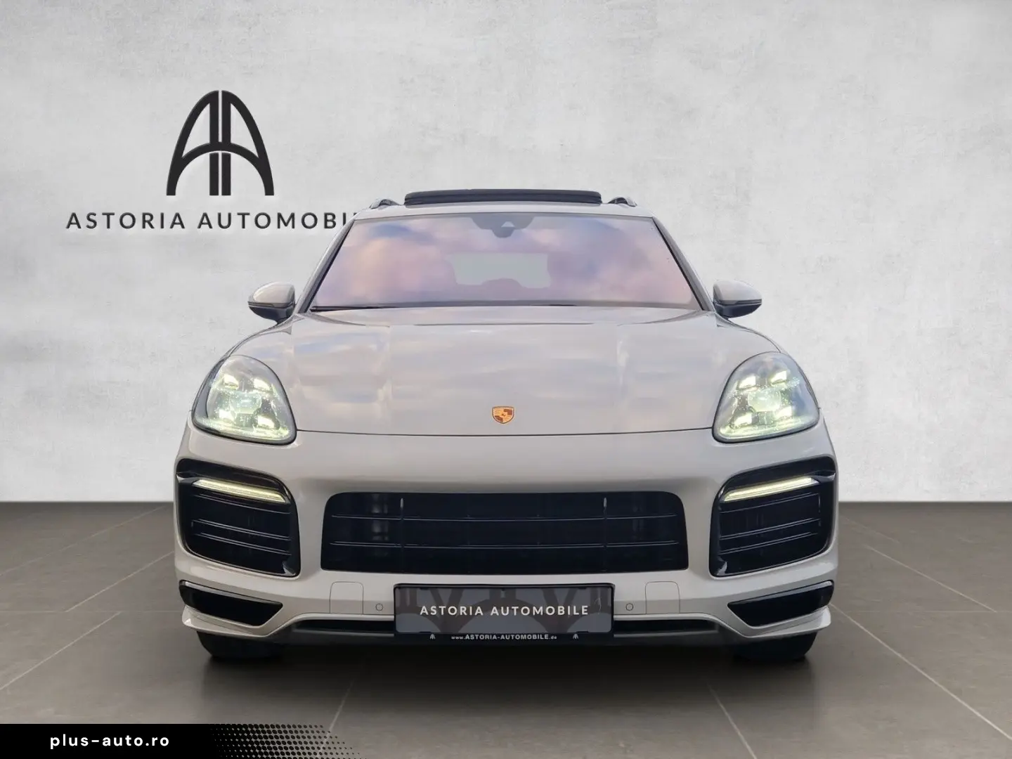 PORSCHE Cayenne S Platinum SportDesign HALenk Standh 18w