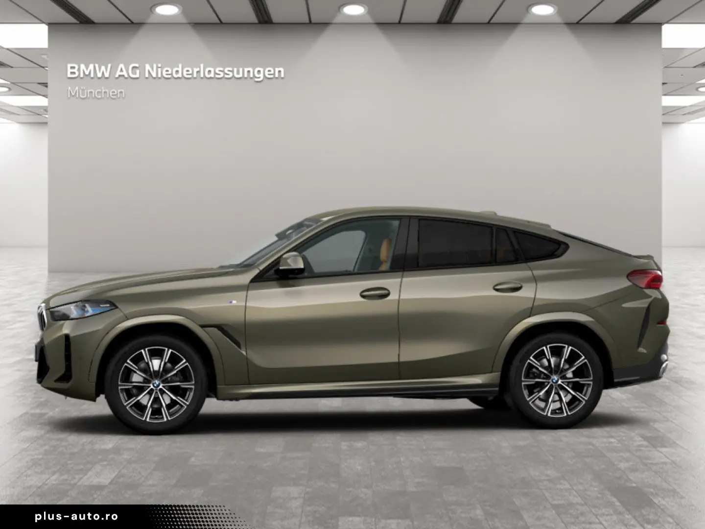 BMW X6 xDrive30d M Sport AHK Harman K Kamera LED