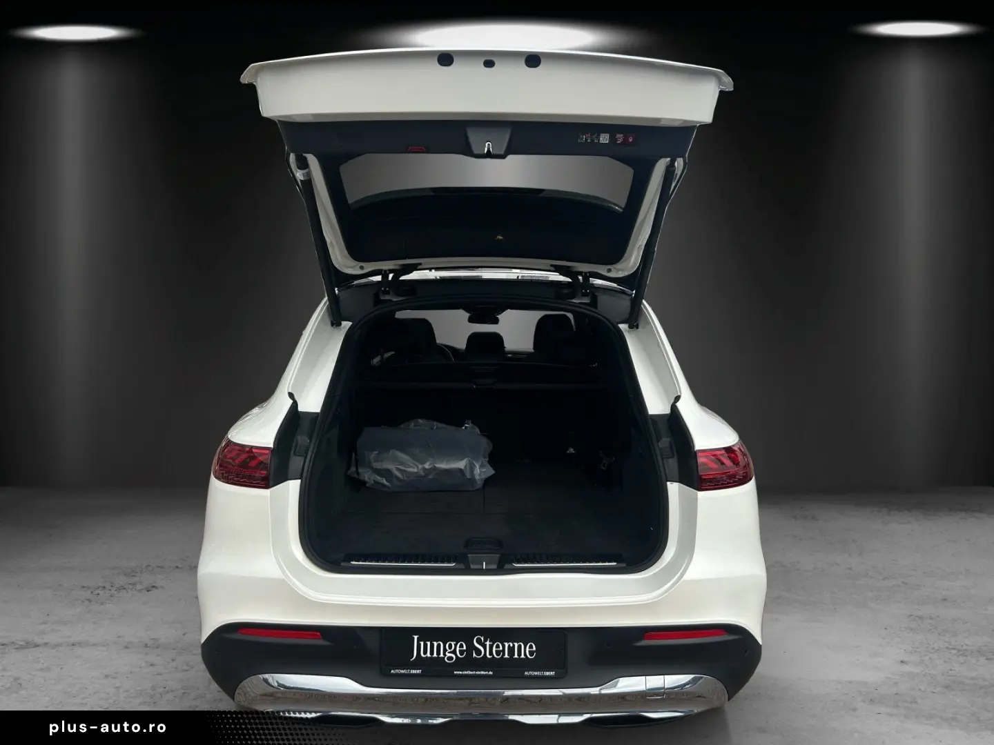 MERCEDES-BENZ EQS 450  SUV Premium HYPER Massage DIS&hellip;