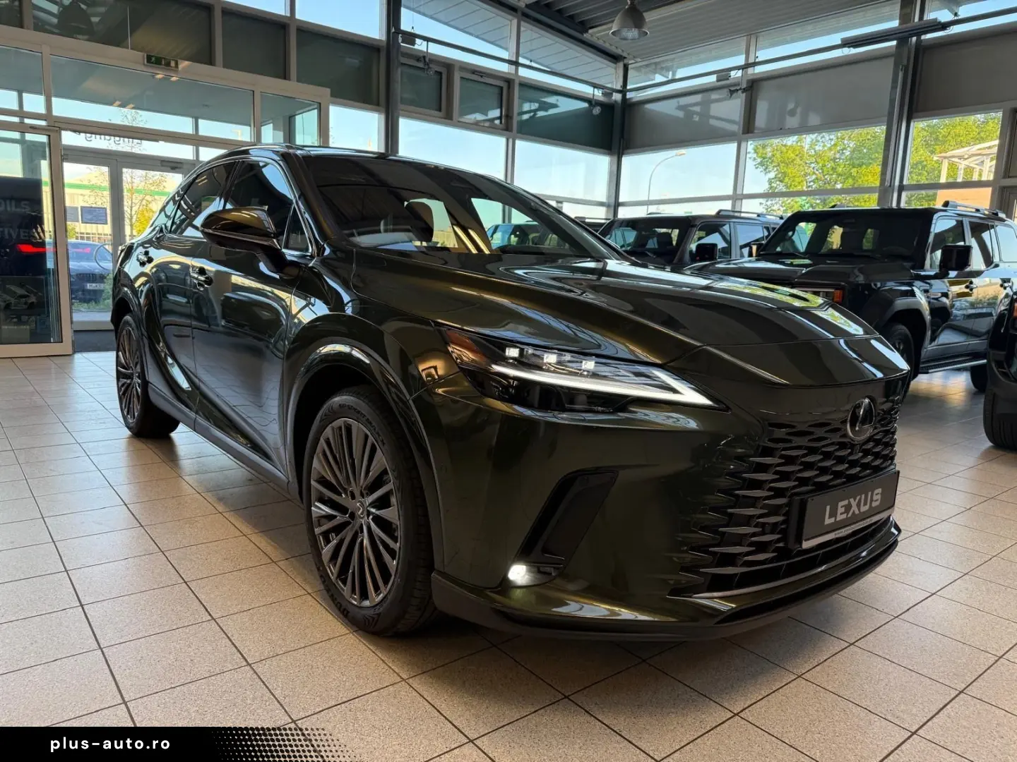 LEXUS RX 450  - LUXURY-PANO.-MARK LEV-360 CAM-58.790 -