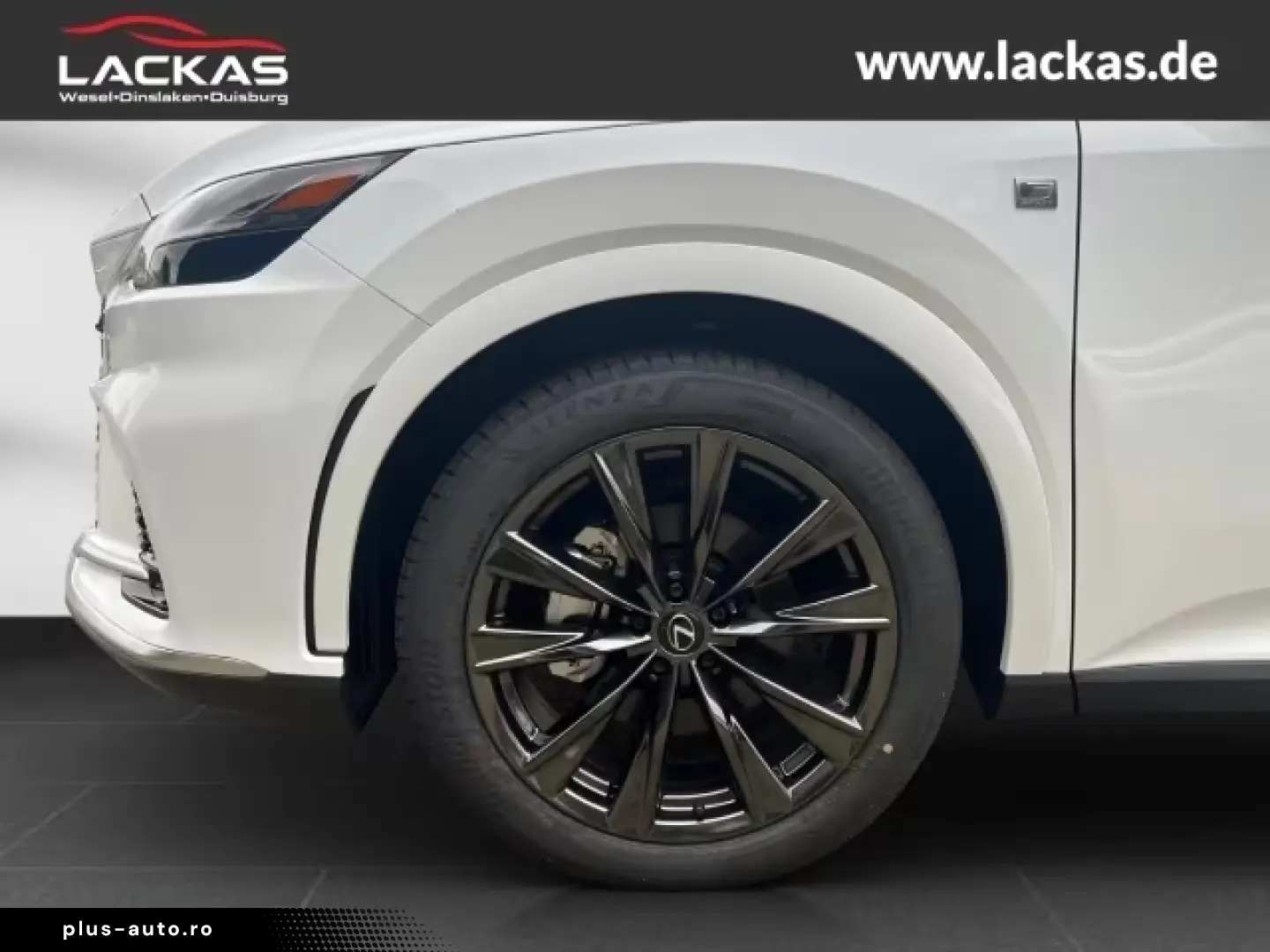 Lexus RX 350 h F-Sport-D PANO 360CAM