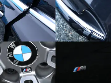 Bmw 730d Xdrive M Sport