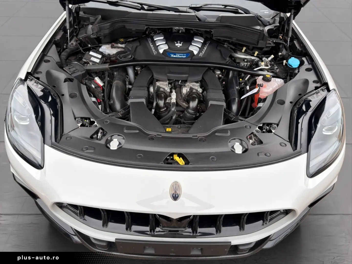 MASERATI Grecale 3.0 V6 Trofeo Auto 4WD EINZEL-STÜCK