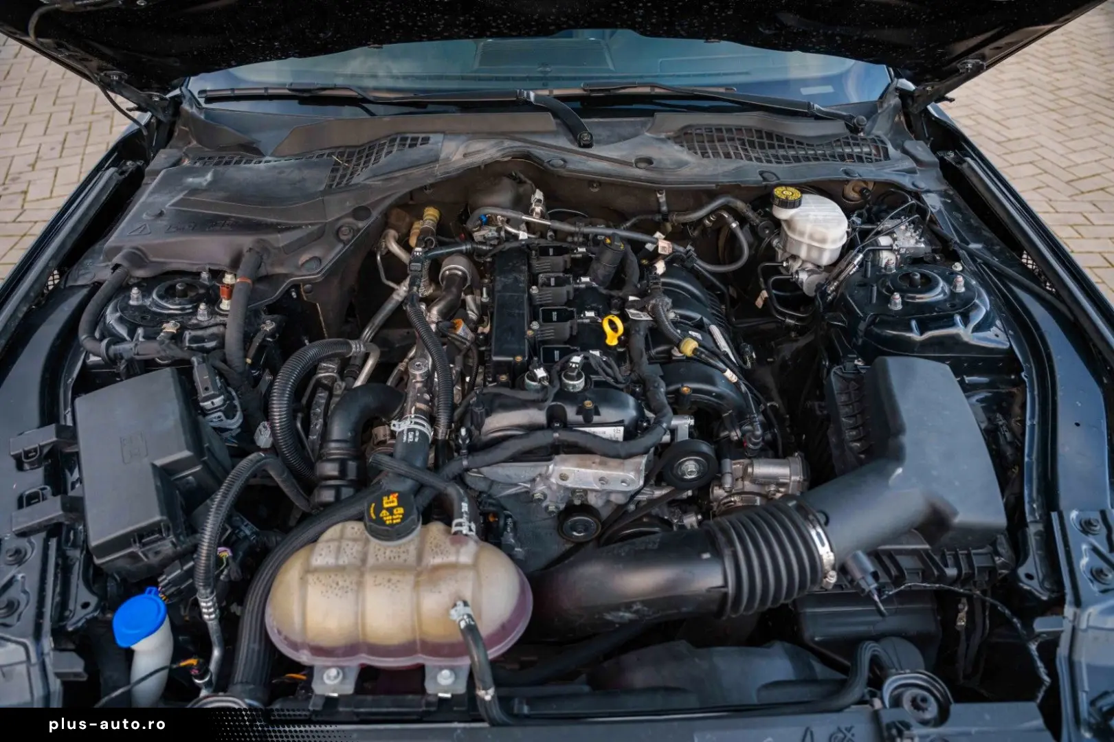 FORD Mustang 2 3 DARK HORSE PREMIUM VOLL TOP