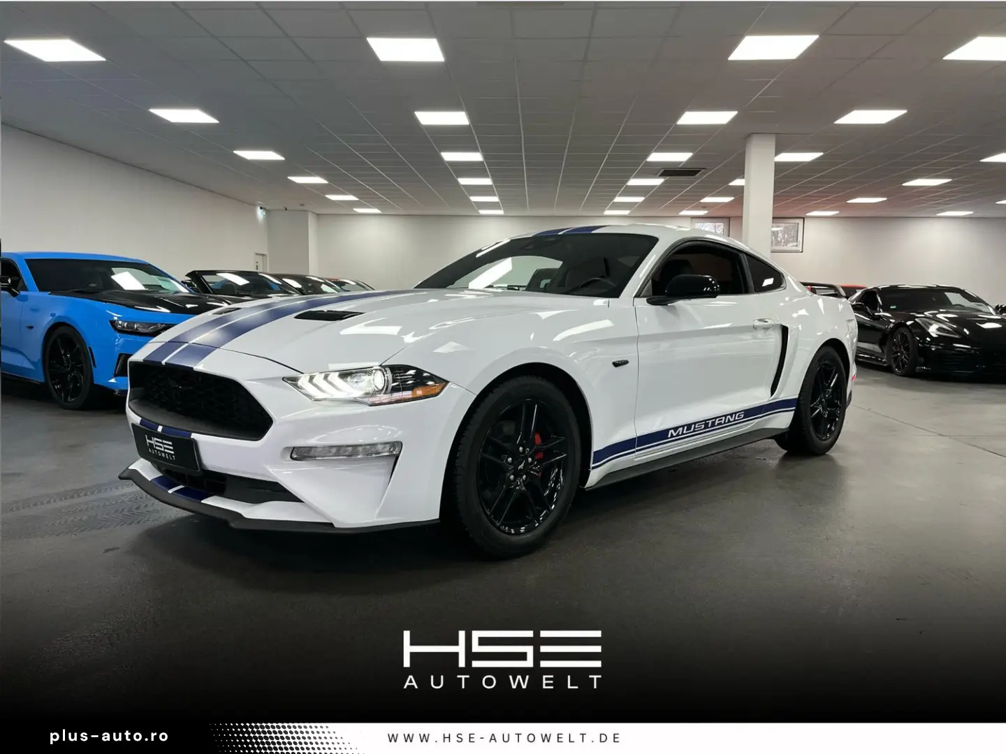 FORD Mustang 2 3l EcoBoost   Auto   Leder  SHZ