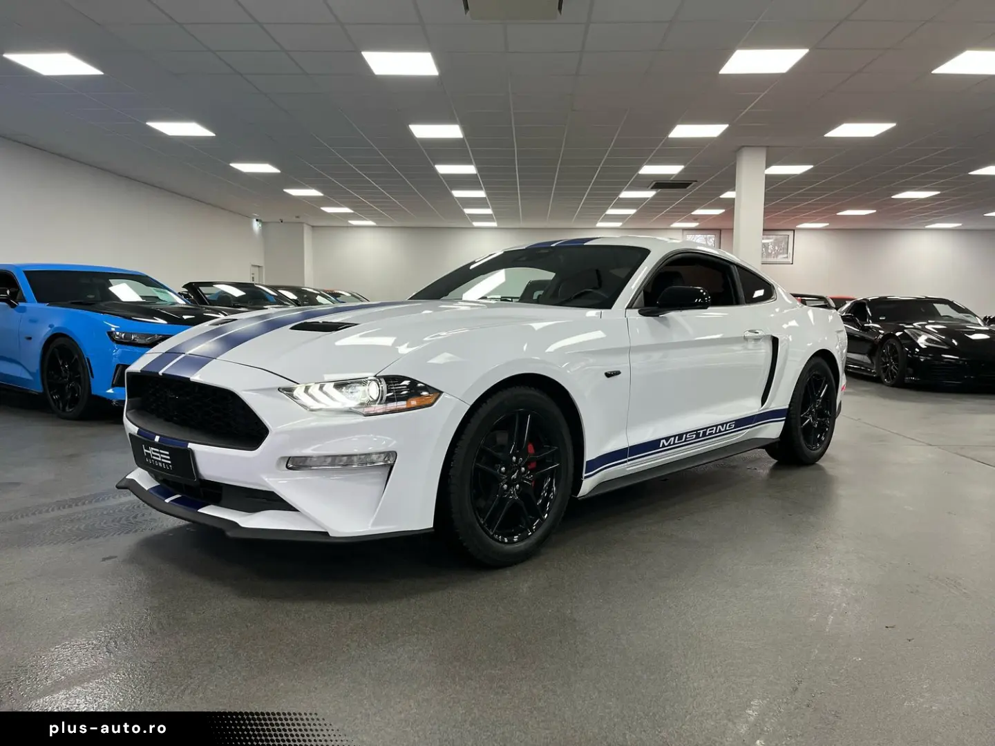 FORD Mustang 2 3l EcoBoost   Auto   Leder  SHZ