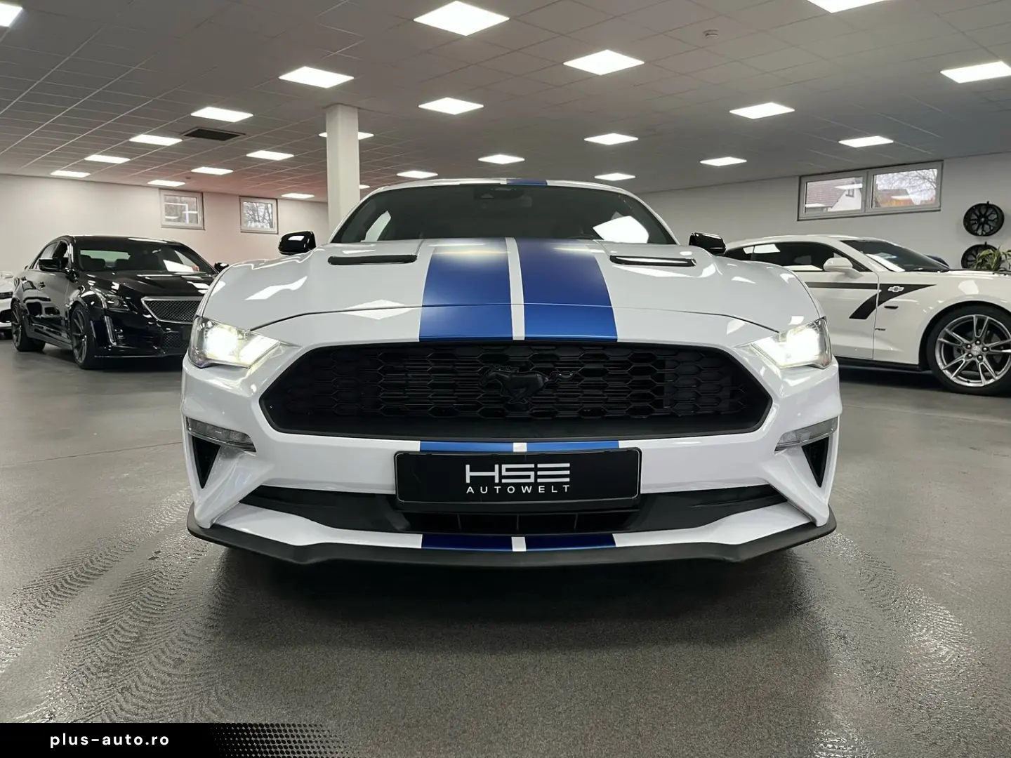 FORD Mustang 2 3l EcoBoost   Auto   Leder  SHZ