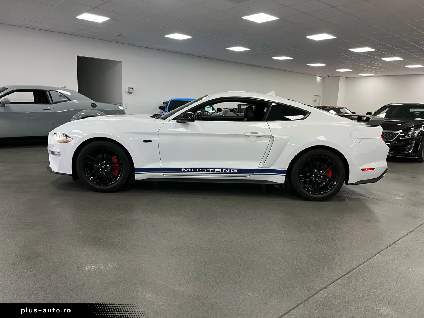 FORD Mustang 2 3l EcoBoost   Auto   Leder  SHZ
