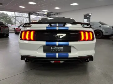 FORD Mustang 2 3l EcoBoost   Auto   Leder  SHZ