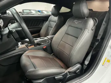 FORD Mustang 2 3l EcoBoost   Auto   Leder  SHZ