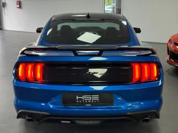 FORD Mustang 2 3l EcoBoost  GT500 KIT   LEDER