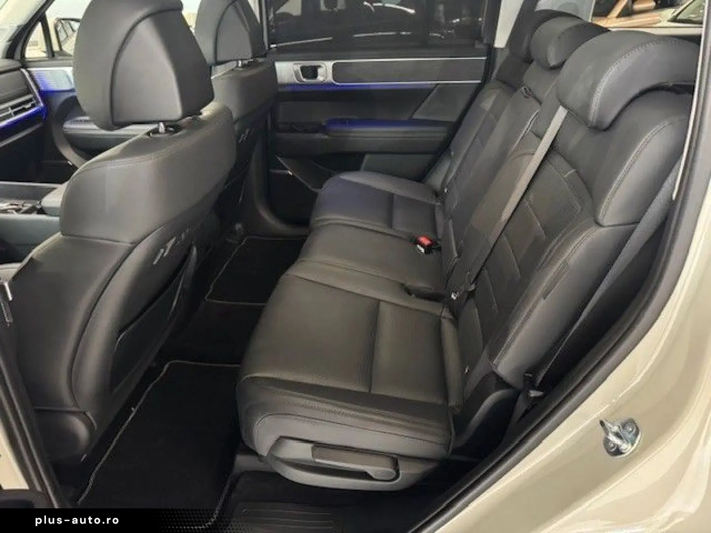 HYUNDAI SANTA FE Hybrid Intro Schiebedach