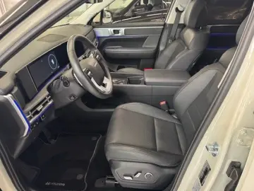 HYUNDAI SANTA FE Hybrid Intro Schiebedach