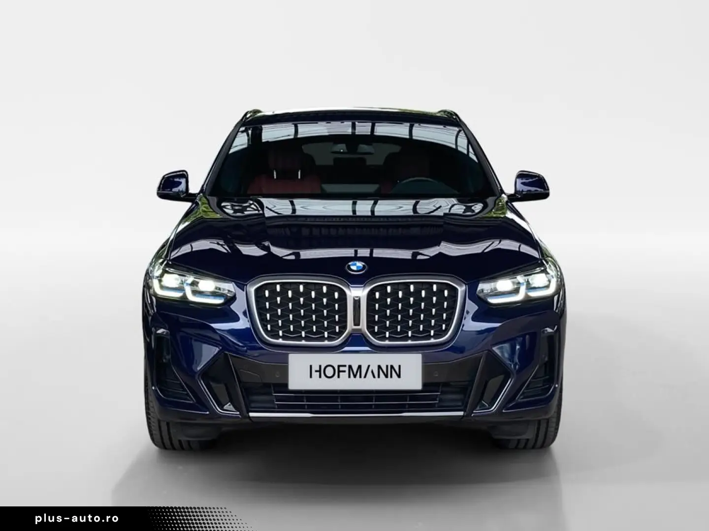 BMW X4 xDr 30d Individual M Sport Pano AHK