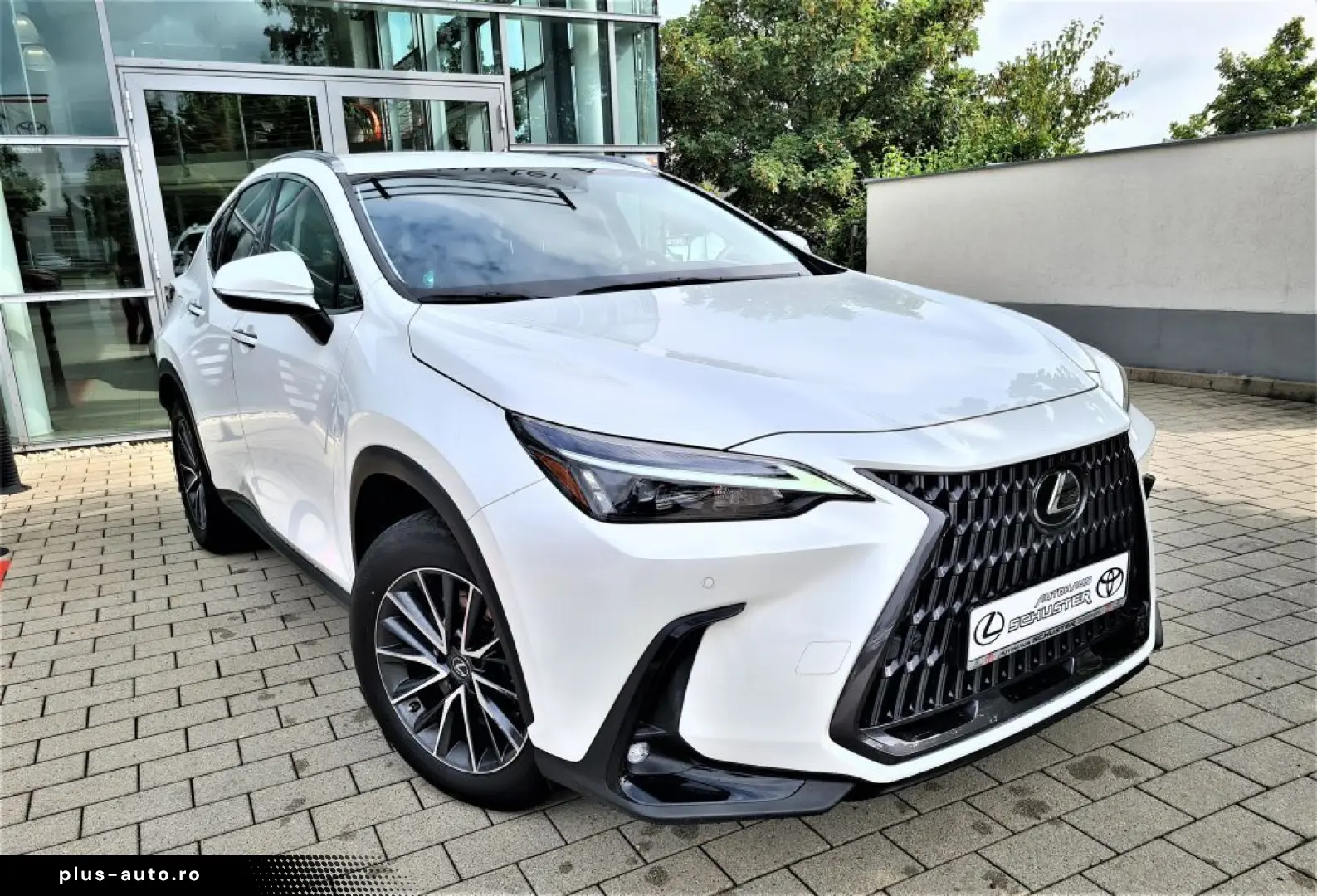 LEXUS NX 450h  E-FOUR Business Connect Paket Plug-In