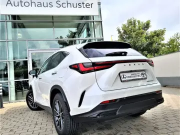 LEXUS NX 450h  E-FOUR Business Connect Paket Plug-In
