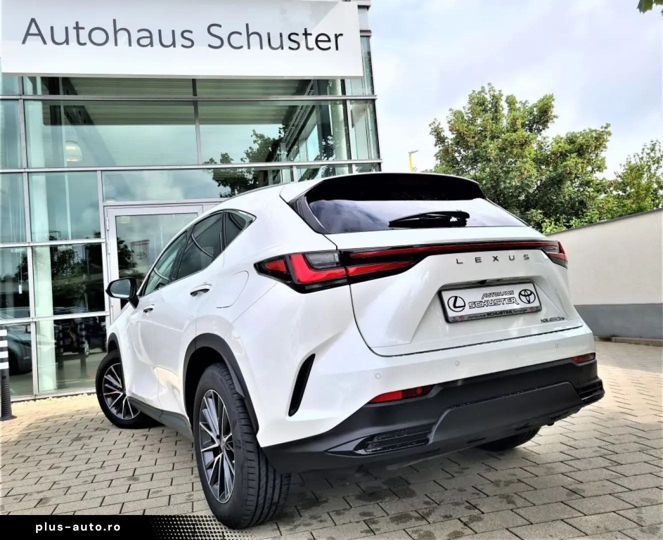 LEXUS NX 450h  E-FOUR Business Connect Paket Plug-In