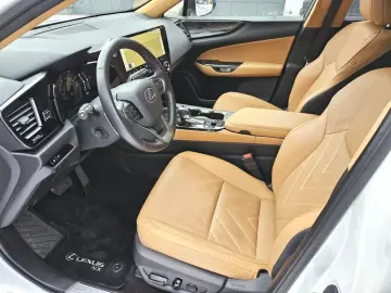 LEXUS NX 450h  E-FOUR Business Connect Paket Plug-In