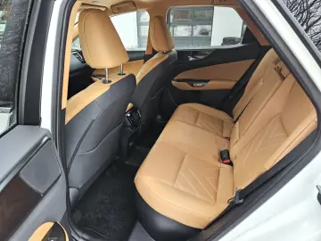 LEXUS NX 450h  E-FOUR Business Connect Paket Plug-In