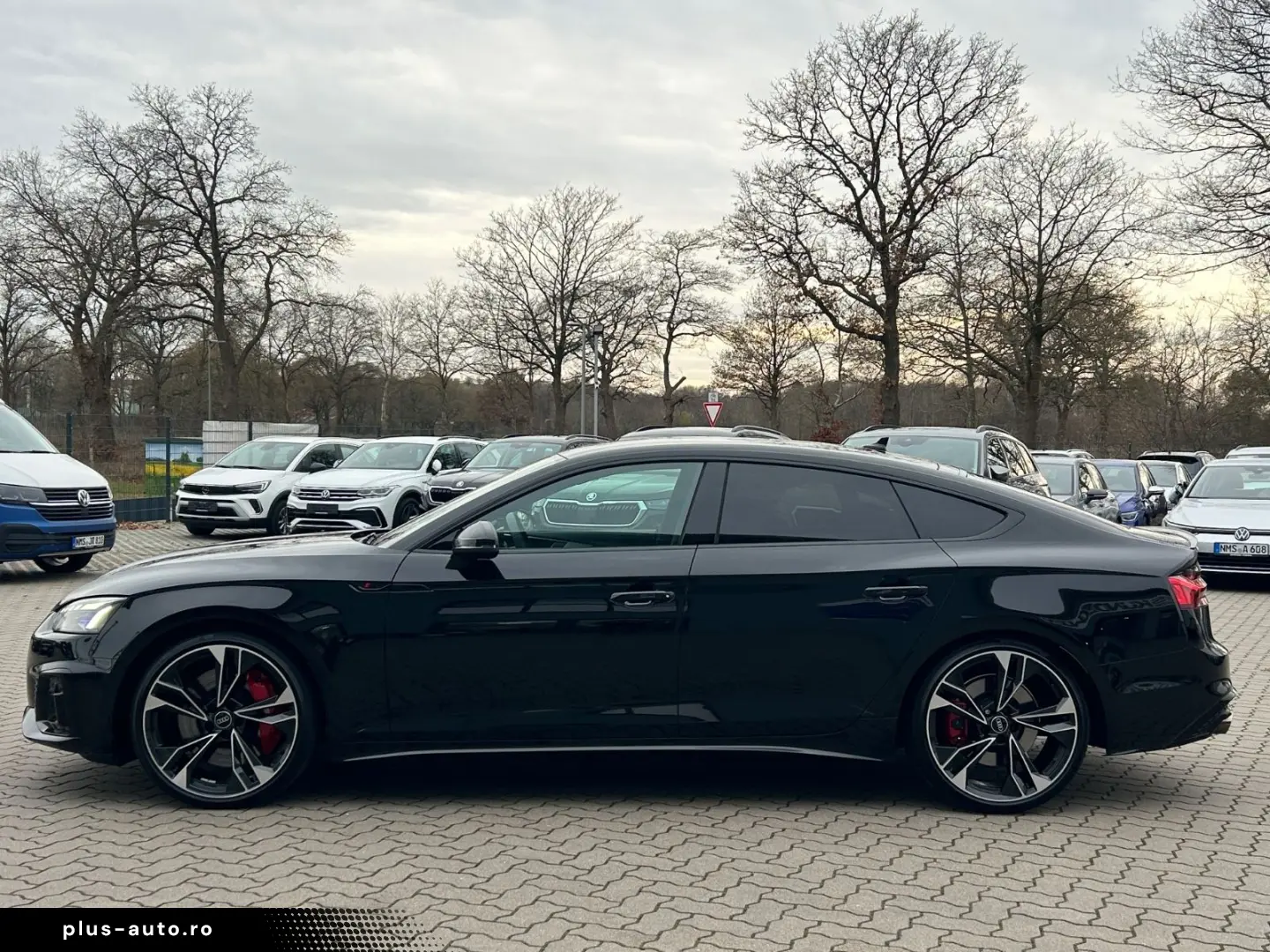 AUDI S5 3.0 TDI quattro Competition Edition Plus