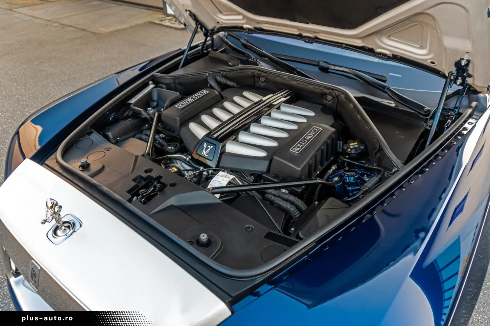 ROLLS ROYCE Dawn - Concorso d Eleganza Edition - 1 of 1