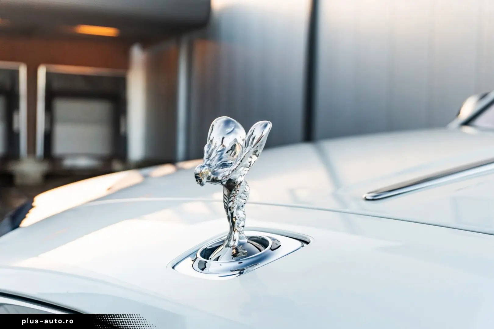 ROLLS ROYCE Dawn - Concorso d Eleganza Edition - 1 of 1