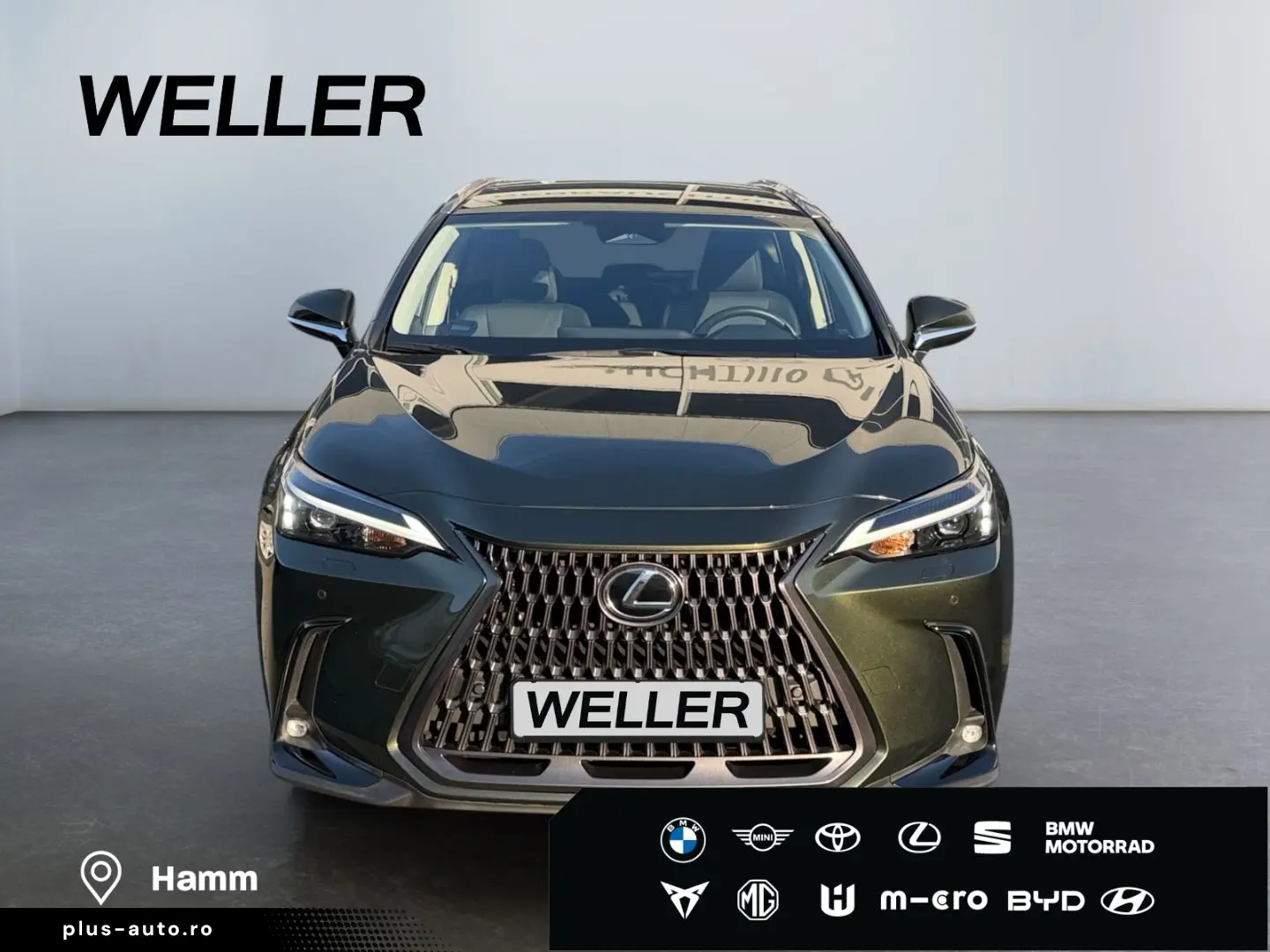 LEXUS NX 450h  E-FOUR Executive Line  Bi-LED 360  HiFi