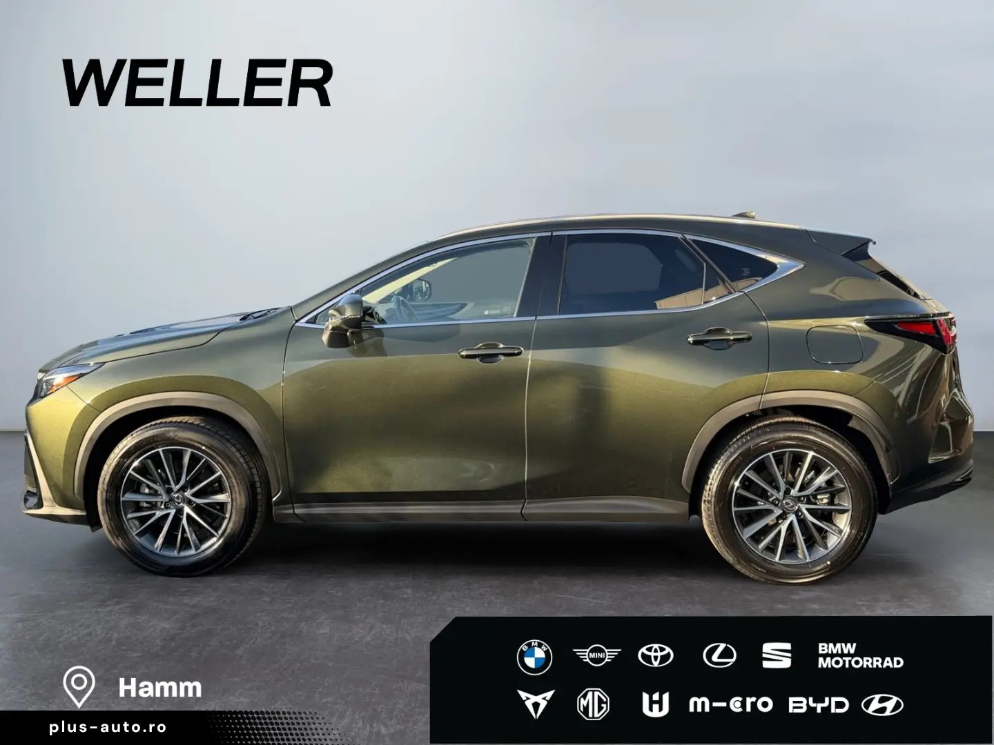 LEXUS NX 450h  E-FOUR Executive Line  Bi-LED 360  HiFi