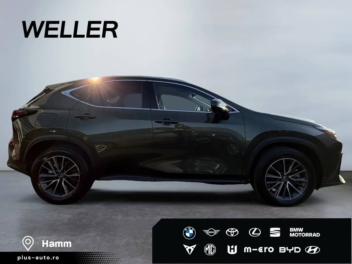 LEXUS NX 450h  E-FOUR Executive Line  Bi-LED 360  HiFi