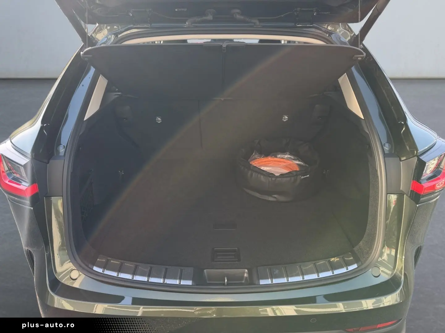 LEXUS NX 450h  E-FOUR Executive Line  Bi-LED 360  HiFi