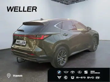 LEXUS NX 450h  E-FOUR Executive Line  Bi-LED 360  HiFi