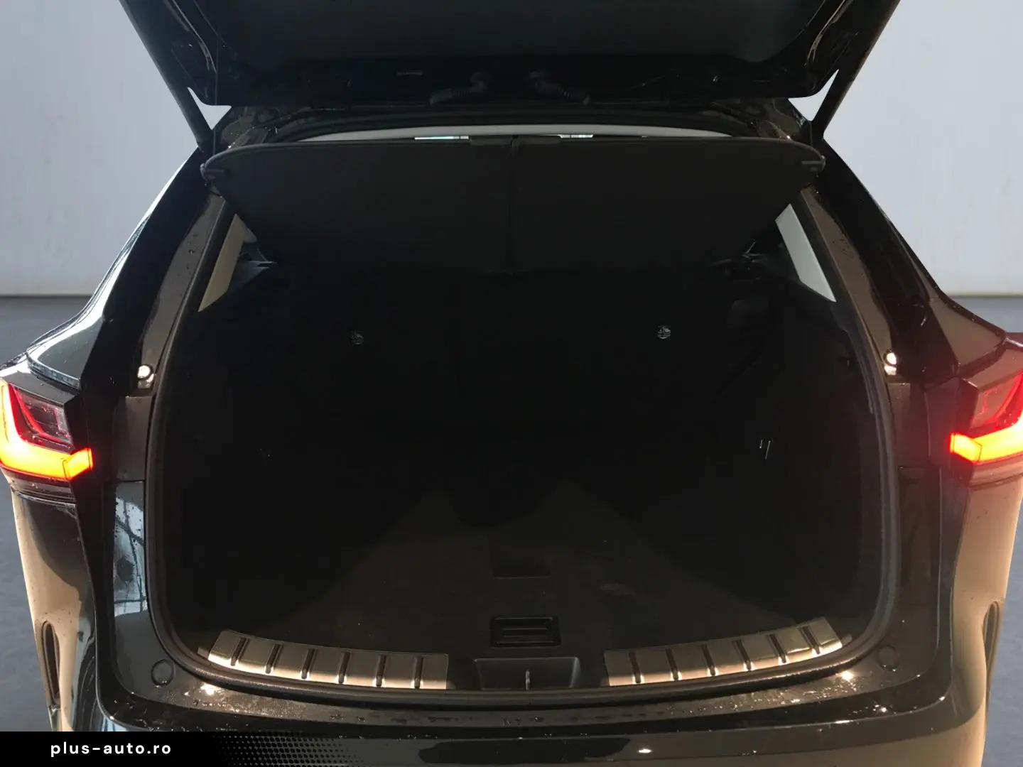 LEXUS NX 450h  E-FOUR Executive Line  LED 360  ACC PDC