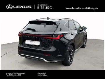 LEXUS NX 450 F Sport Bi Color Leder Matrix 360