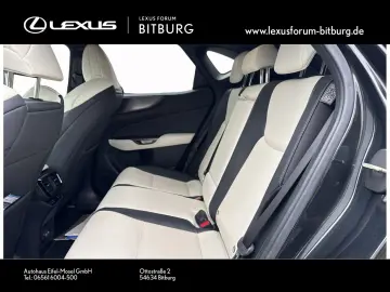 LEXUS NX 450 F Sport Bi Color Leder Matrix 360