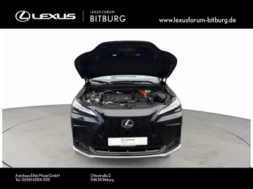 LEXUS NX 450 F Sport Bi Color Leder Matrix 360