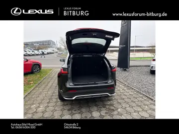 LEXUS NX 450 F Sport Bi Color Leder Matrix 360