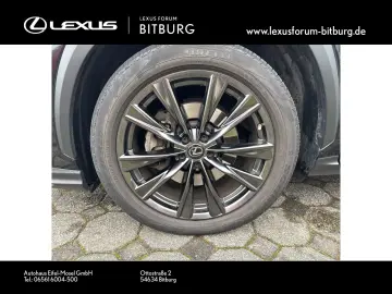 LEXUS NX 450 F Sport Bi Color Leder Matrix 360