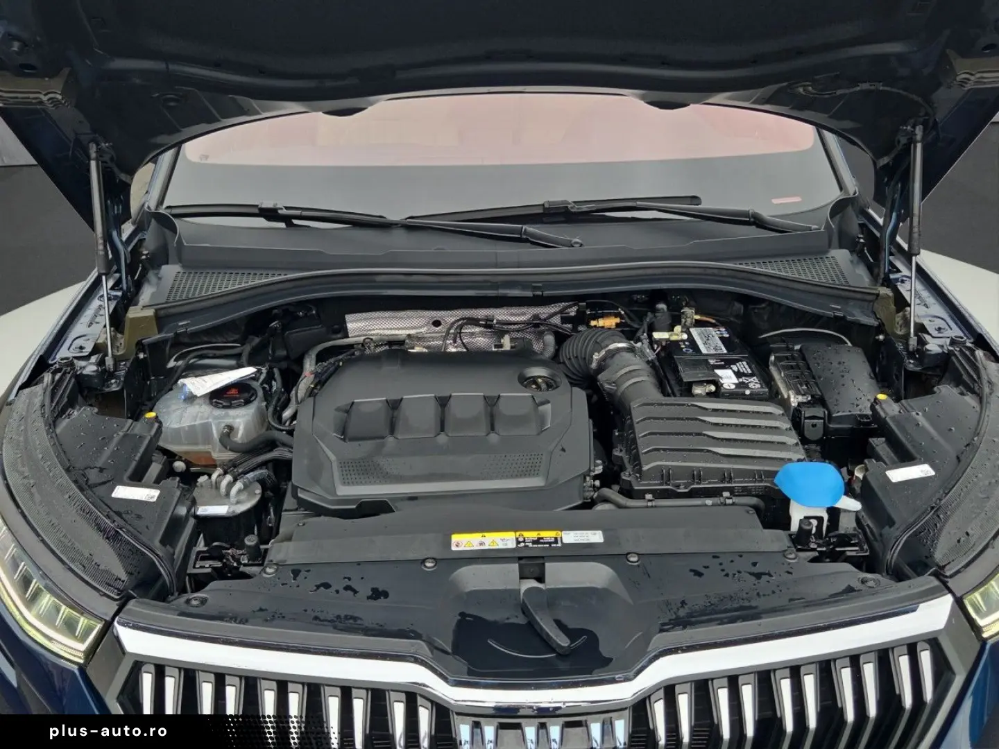 SKODA Kodiaq Laurin & Klement 2.0 TDI DSG Leder Pano